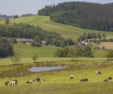 Blick vom Fahrenberg