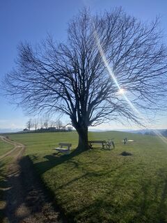 Fotografie z Sven Krieblin na trase