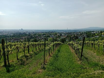 Фото с сайта Poschacher во время экскурсии