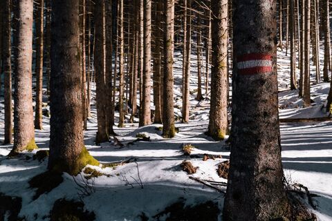 Wanderwegmarkierung am Ofensteigweg