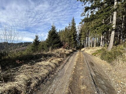 Fotografia z Christian Bozsoki na trase
