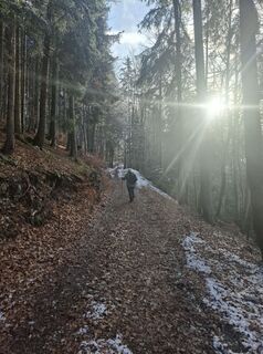Fotografija s spletne strani Miha Gros na poti