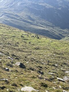 Foto von Mariedl Hadie entlang der Tour
