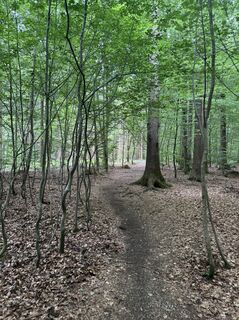Foto von Johannes H entlang der Tour