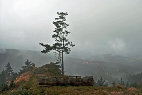 Herbstlicher Blick vom Adlerfelsen