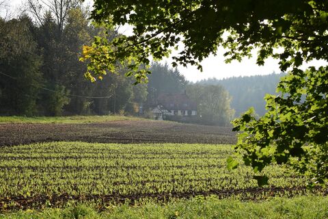 Natur