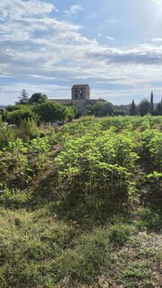 Fotografija s spletne strani CPQS na poti