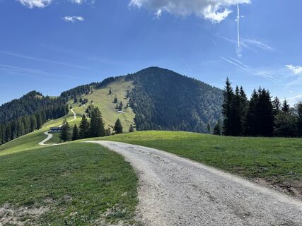 Fotografie z Thomas Auer na trase