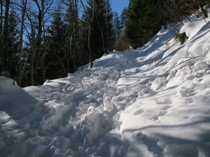 Schneealpe