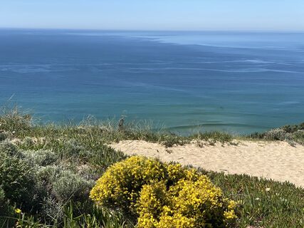 Foto von Ursula Müller 1 entlang der Tour