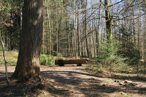 Am Pflanzgarten.