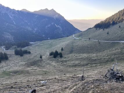 Fotografie z Bene Schadel na trase