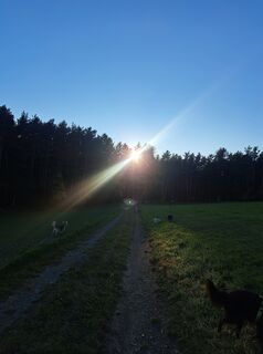 Foto von GAdamec entlang der Tour