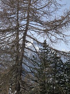 Foto van FABIO MAGLIANO langs de tour