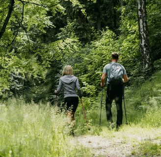 in den Wäldern des Erzgebirges