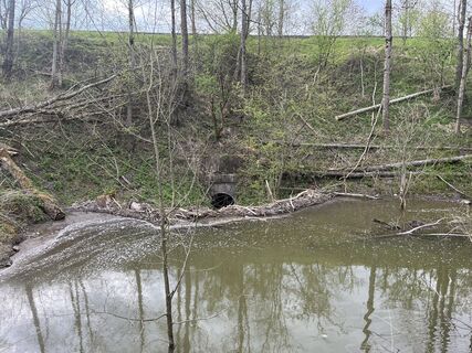 Foto de tracksau a lo largo del recorrido