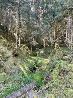 Foto da Radovan Culic lungo il tour