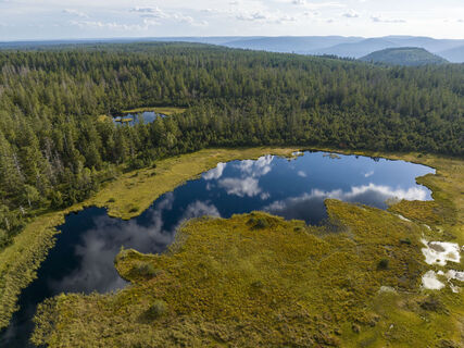 Ein Highlight der Strecke: die einzigartigen Hochmoore am Kaltenbronn