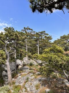 Foto von Marlies Berwein entlang der Tour