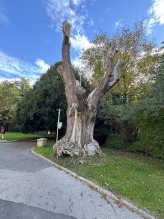 Foto von Daniel Maier 10 entlang der Tour