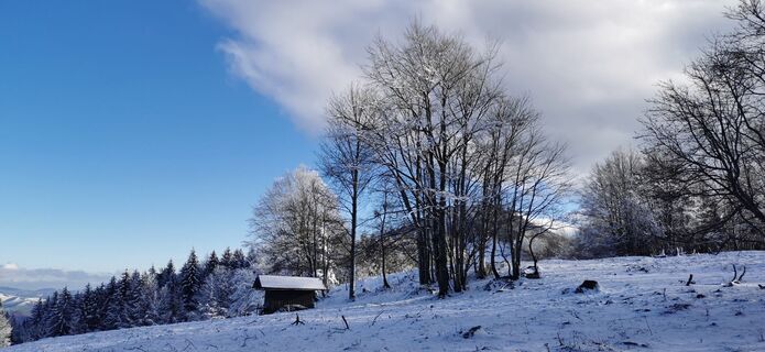 Fotografie de la Klaus Lehner de-a lungul turului