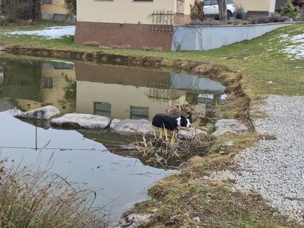Fotografija s spletne strani Kristina Gre na poti