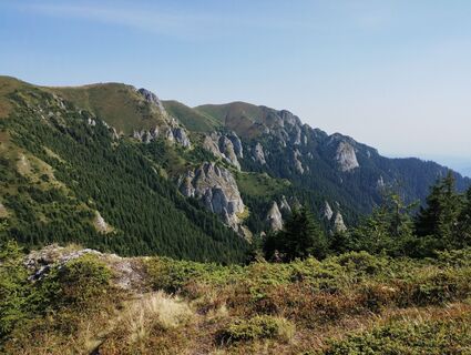 Foto de Tasurinki Mitote a lo largo del recorrido