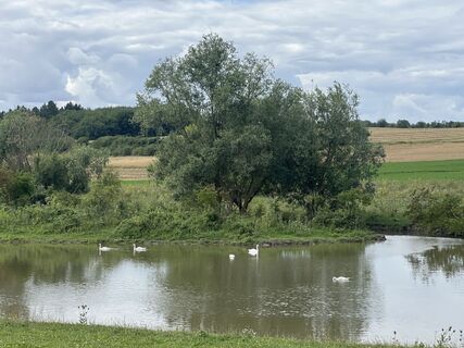 Foto von Wilfried Wagner entlang der Tour