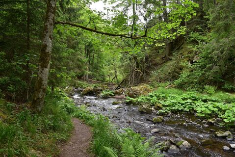Schlucht
