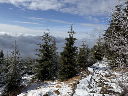 Fotografia z Natur_erleben_dg na trase