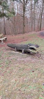Das Krokodil im Wald