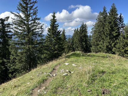 Photo de Peter biro le long du parcours