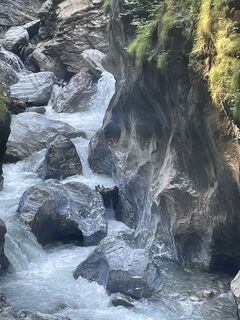 Fotografija s spletne strani pedaklaus na poti