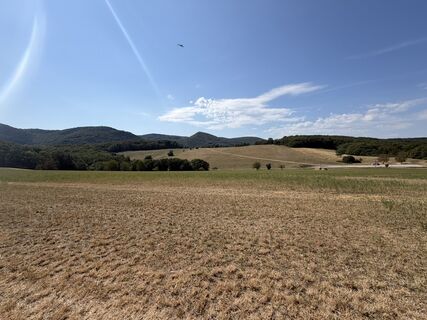 Foto von Tamino La Pedalina entlang der Tour