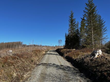 Wanderwg