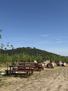 Photo de Marlene Hronicek le long du parcours