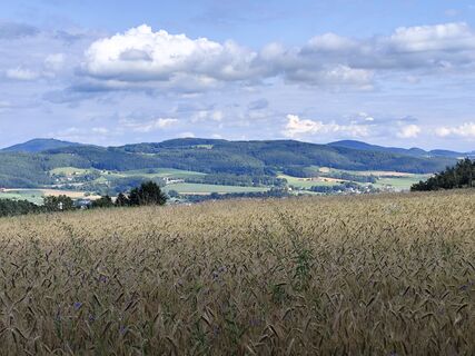Foto von Edith K. entlang der Tour