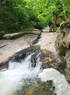 Fotografija s spletne strani Martin Schaumberger na poti