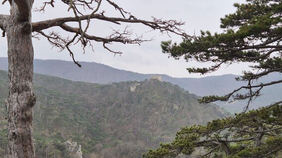 Fotografia z Claudia Maurer na trase