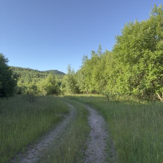 Foto von Steffen Kiesel entlang der Tour