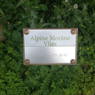 Alpine Moräne Vlies - Station