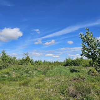 Foto von An Fo entlang der Tour