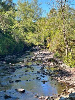 Foto de Elli49 a lo largo del recorrido