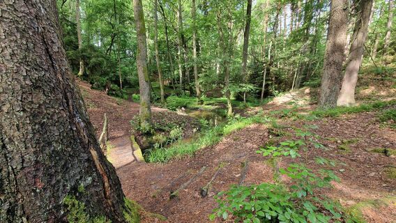 Photo de Juergenscholz Privat le long du parcours