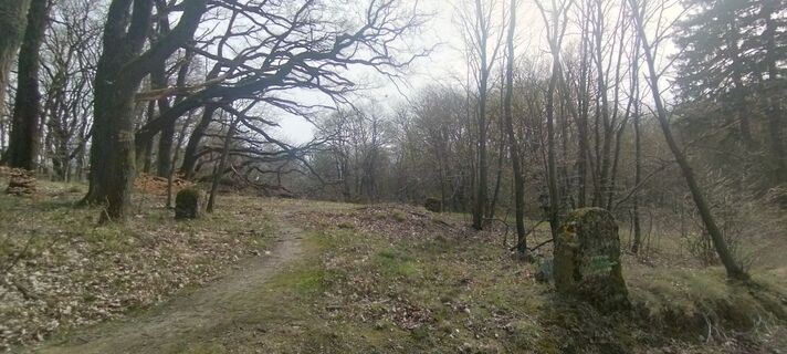 Zdjęcie z Christine Fischer wzdłuż trasy