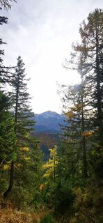 Kuva osoitteesta Klaus Lehner matkan varrella