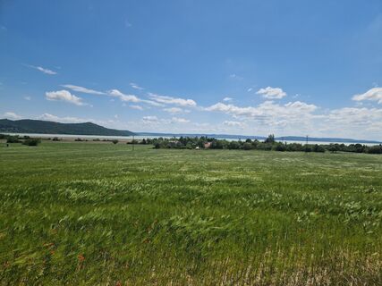 Fotografia z Szomi Balázs na trase