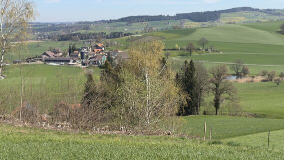 Foto de Peter Burki a lo largo del recorrido