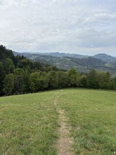 Kuva osoitteesta Reinhard Frewein matkan varrella