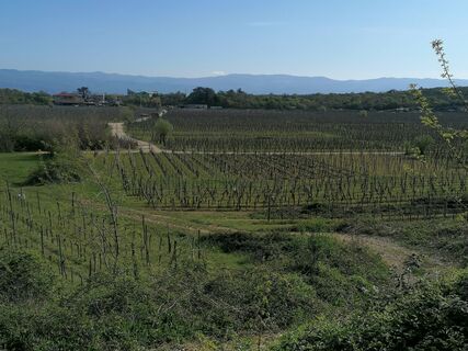 Foto von Marjan Ostruh entlang der Tour
